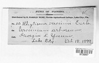 Image Associated With the Occurence